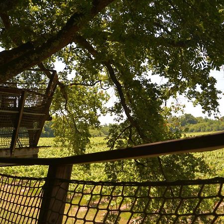 Cabanes De La Romaningue Pompignac Eksteriør billede